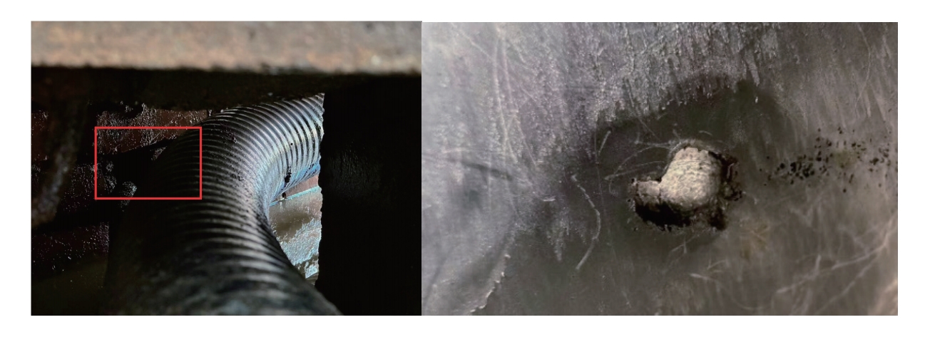 解剖確認(rèn)外護(hù)套破損情況 解剖確認(rèn)外護(hù)套破損情況