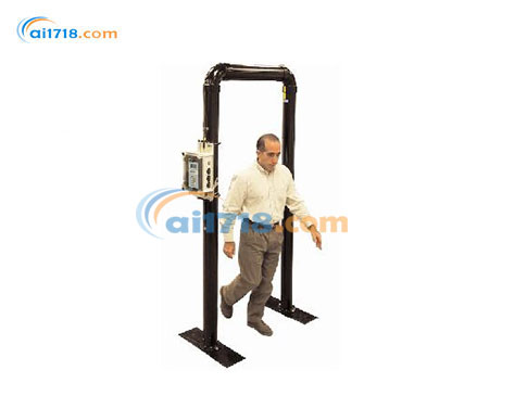 TPM-903B可移動門式輻射監(jiān)測儀