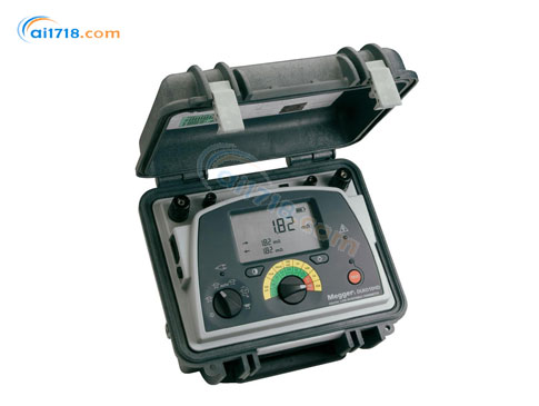 DLRO10HD 10A數(shù)字微歐表